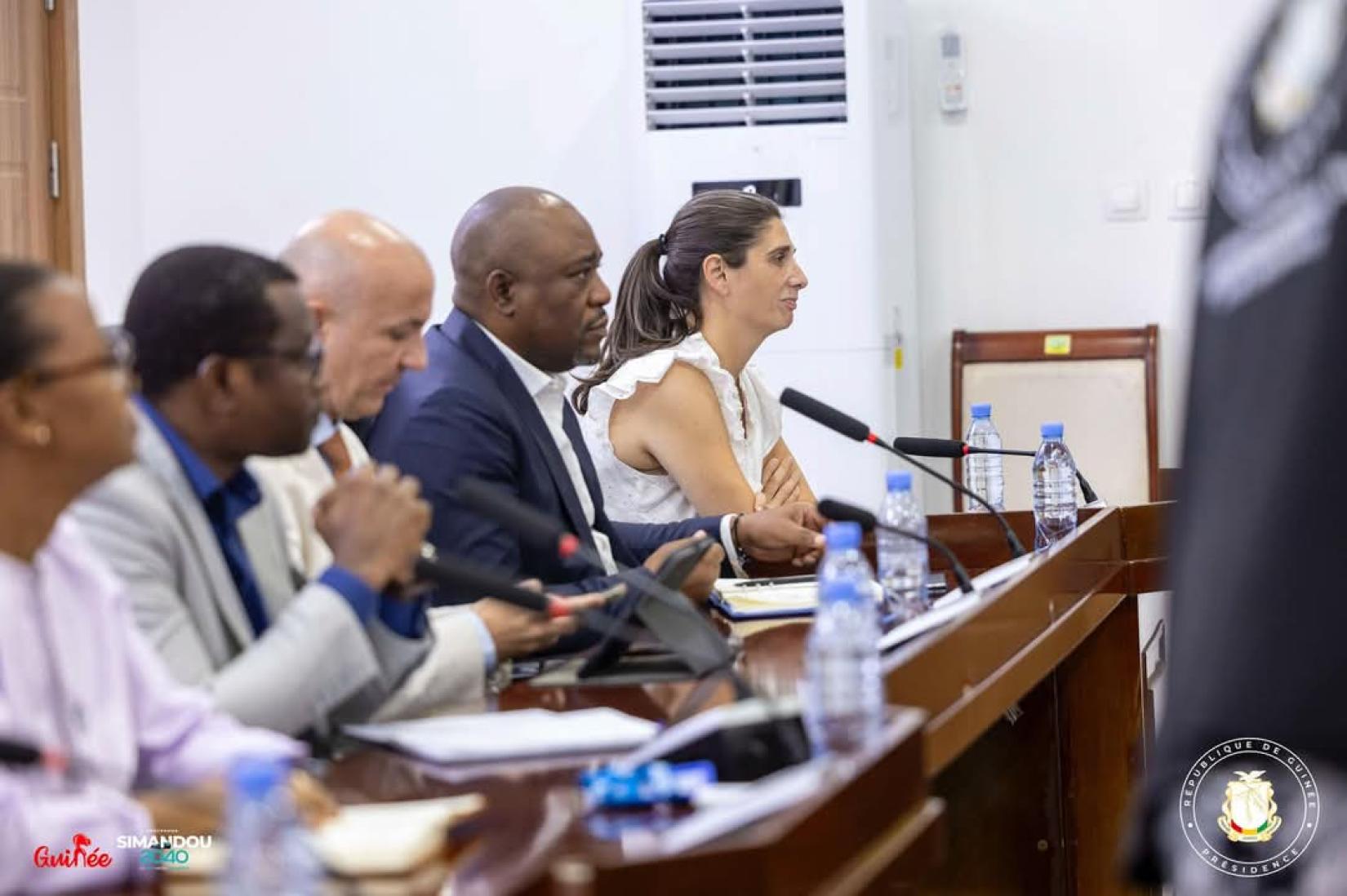 Equipe Pays des Nations Unies à la réunion avec le Comité Stratégique Simandou.